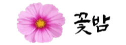꽃밤 [접속불가]