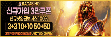 라카지노 배너